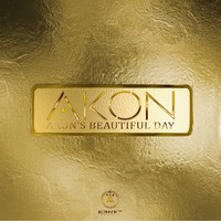 BEAUTIFUL DAY - Akon