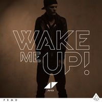 WAKE ME UP - Avicii / Aloe Blacc