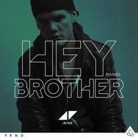 HEY BROTHER - Avicii