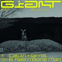 GIANT - Calvin Harris / Rag 'N' Bone Man