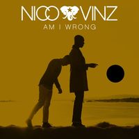 AM I WRONG - Nico & Vinz