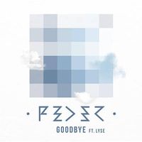 GOODBYE - Feder