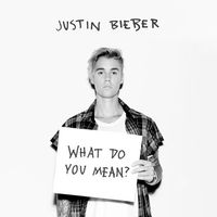 WHAT DO YOU MEAN - Justin Bieber