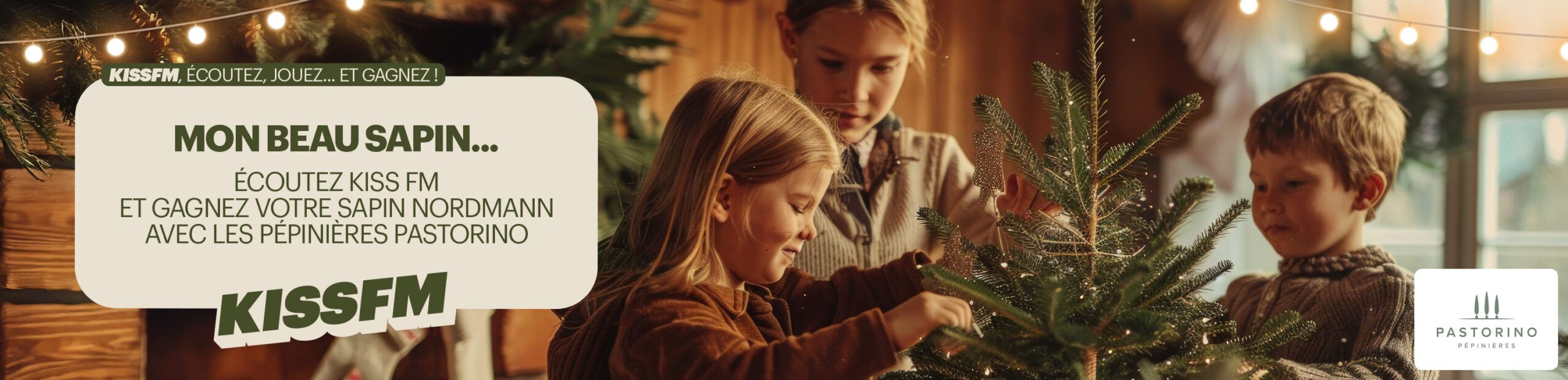 MON BEAU SAPIN !